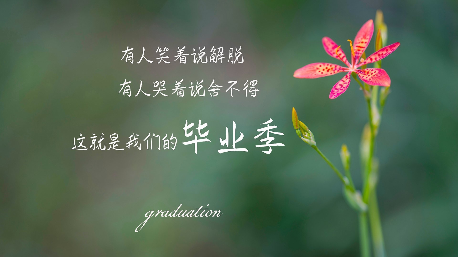 比利亚雷亚尔在欧协联中晋级半决赛，比利亚雷亚尔队史冠军