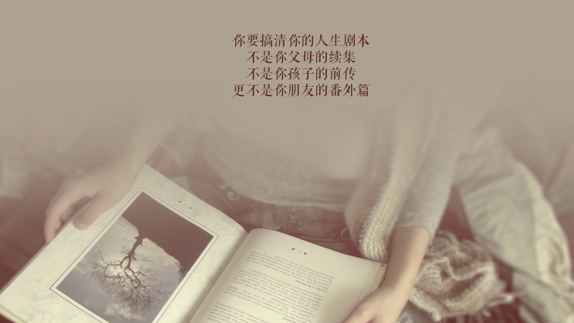 足球球迷文化研究课题在高校立项，足球文化进校园