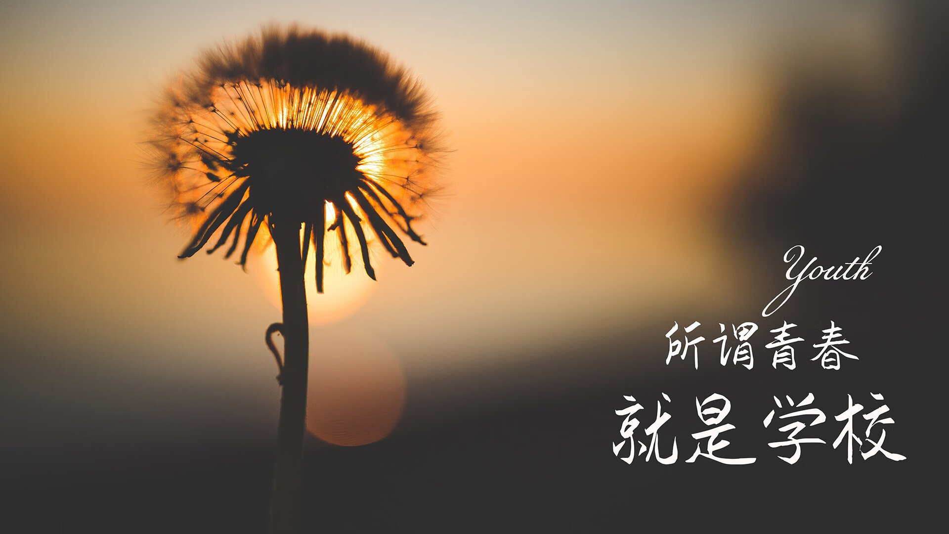 青少年“篮球记忆”主题展在武汉开幕，感受体育文化魅力，青少年篮球赛事