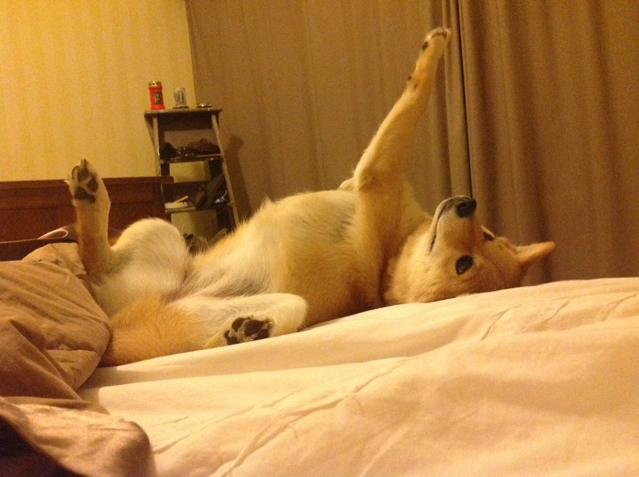 篮球运动员竞技心理干预策略研究,篮球运动员的心理素质训练应把重点放在