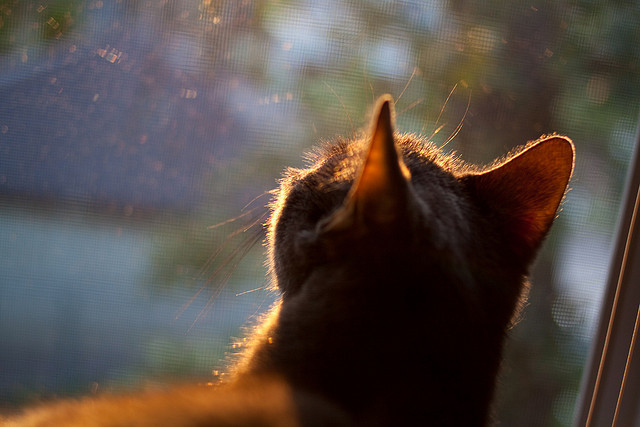高校体育学科建设与科研产出分析，高校体育学科建设与科研产出分析报告