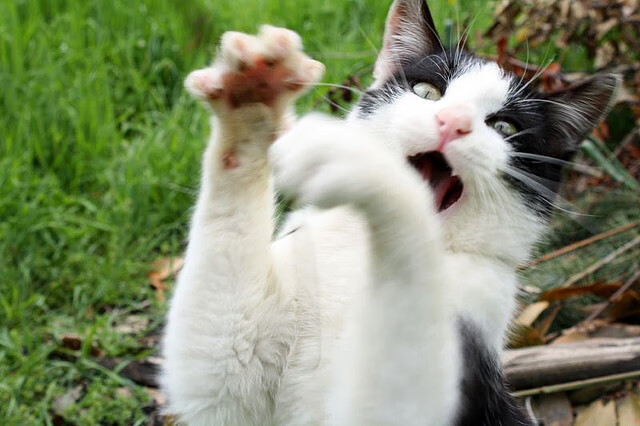 “天府校区台球赛：顶级选手上演精准对决”