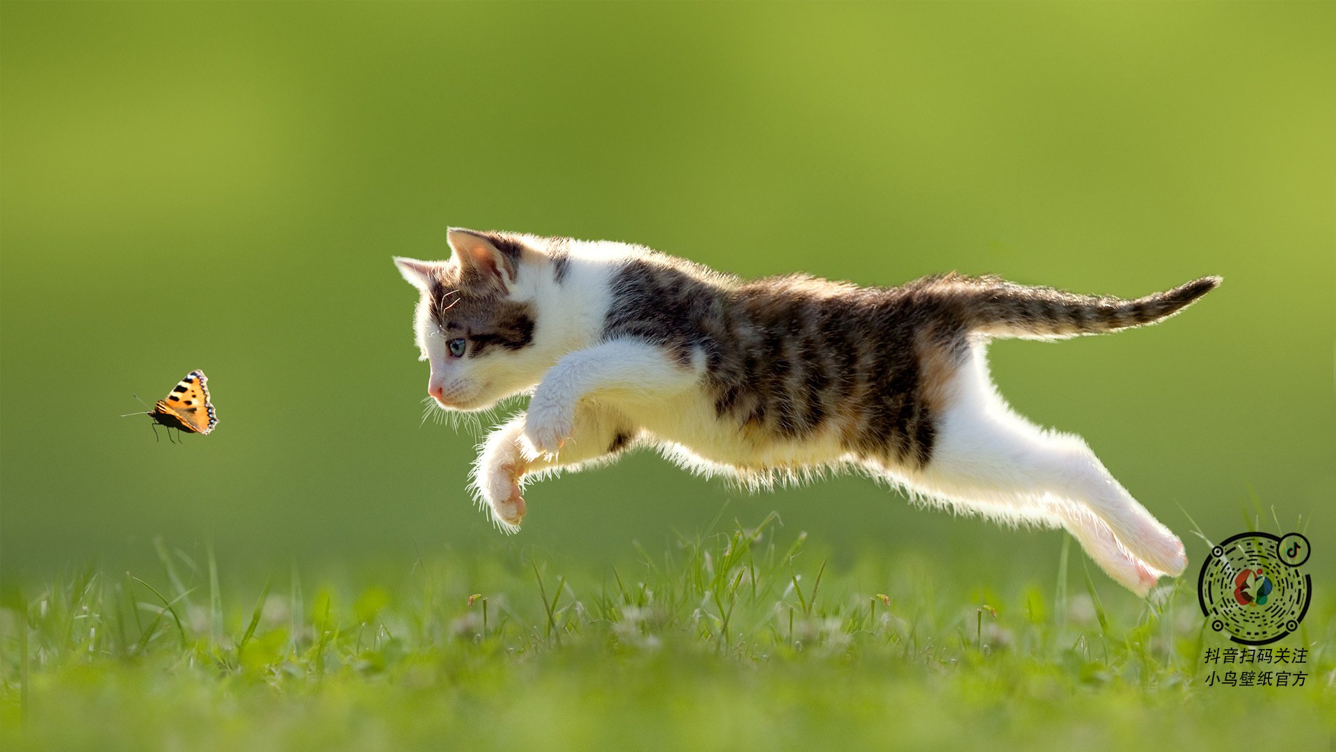 中国三人篮球男队强化协防策略,三人篮球 中国男篮