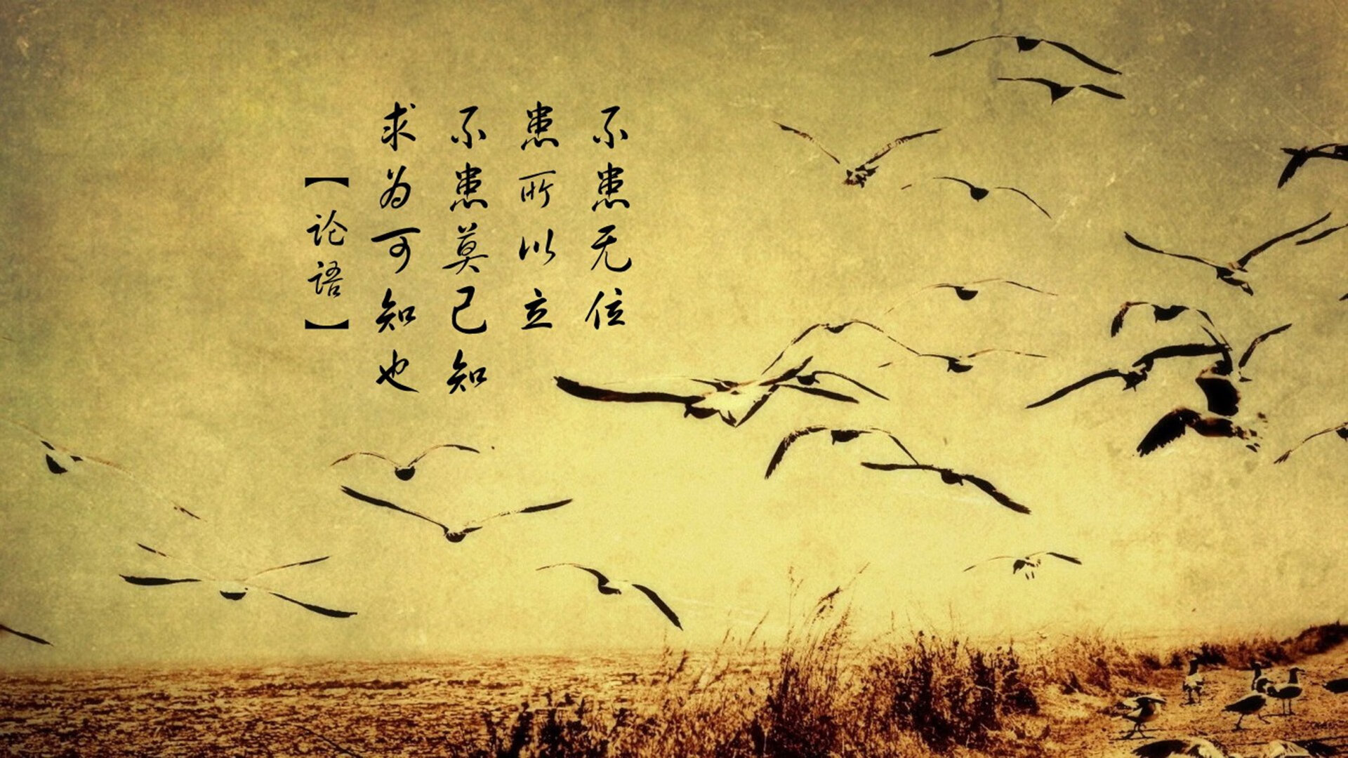 亚冠联赛国家队战平 球迷理性讨论战术体系,亚冠联赛分析