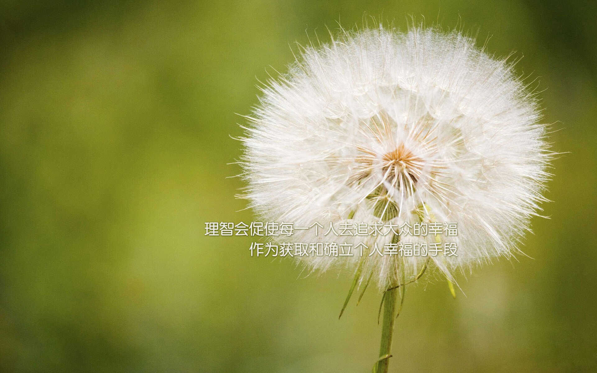 体育纪录片展现运动精神魅力,体育纪录片展现运动精神魅力的片段