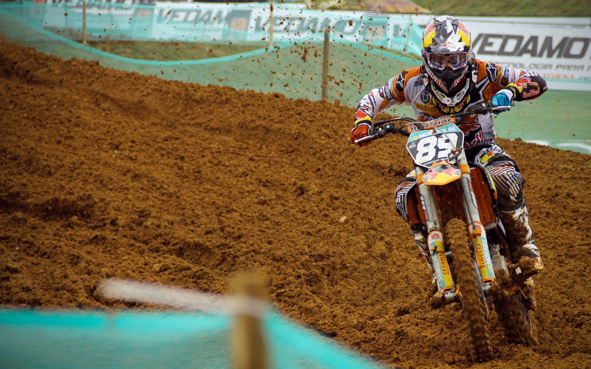 _雄鹿持续稳步提升，迎来佳绩_，雄鹿11